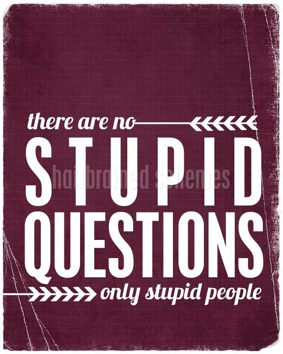 Funny Typography Poster There are no Stupid Questions, Only Stupid People - Leaf Green Distressed Funny Digital Art Print