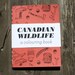 Canadian Wildlife - A Mini Colouring Book