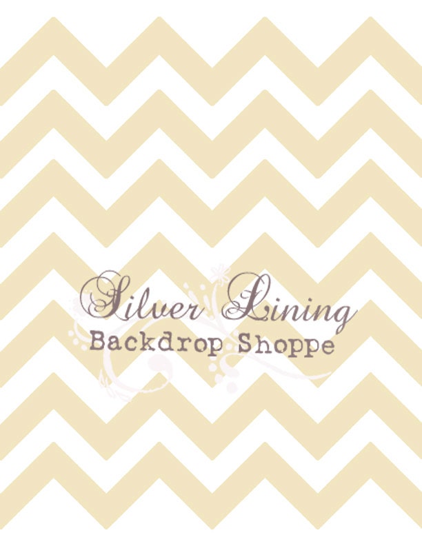 Photo Backdrop CHEAPEST on Etsy 4.5ft x 5ft Vinyl Photography Backdrop / Nude & White CHEVRON