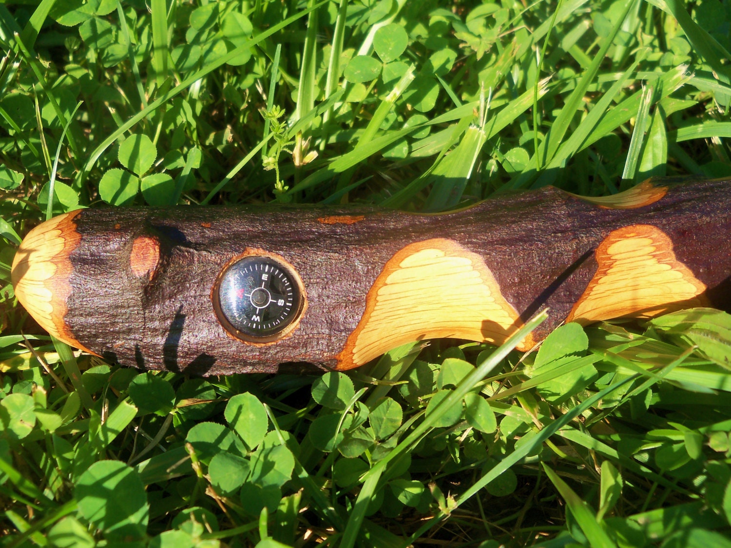 Hiking Stick Walking Fathers Day Stick Hand Carved  Wood Organic Staff Witch Hazel