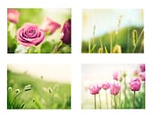 Pink & Green Print Set - Four 5x7 Photographs - nature flower floral botanical wall art - rose tulips fine art 4 photos white photography