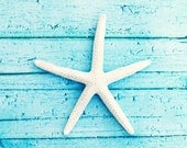 5x7 Starfish Photography - beach photo aqua blue print white - seashore wall art - coastal sea shore photo modern picture - 5x7 Photograph
