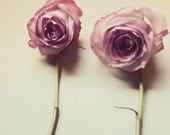 Rose photograph- pale, light purple, lavender, pink,  muted colors, shabby chic, spring,  floral, romantic, 8x10 print, fine art photograph