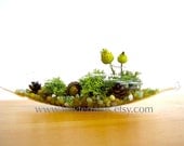 Pretty Little Lichen Vessel Terrarium