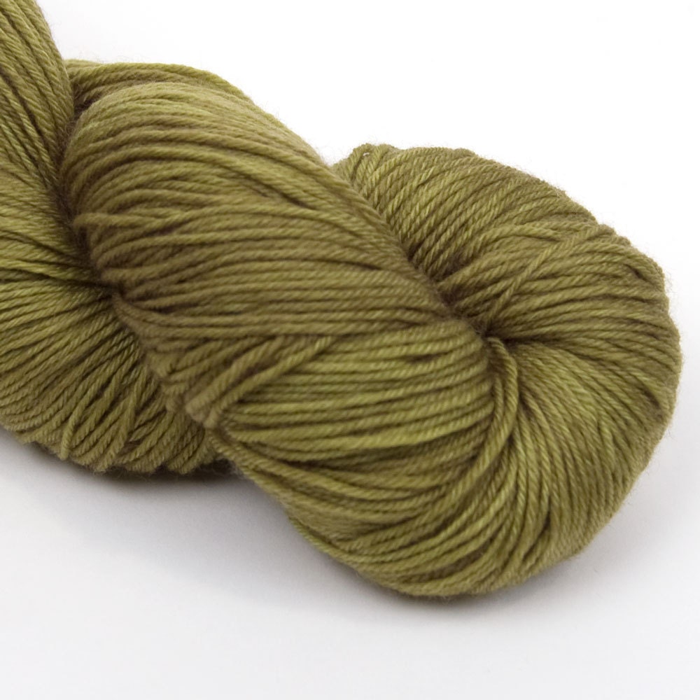 Merino Beauty in Swamp