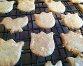 Grain Free Organic Dog Treats, Coat-conut Edibles