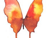 red, rust, orange and yellow butterfly. original watercolour painting
