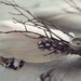 HARRISON - set of 2 - baby pink and tan button boutonnieres, woodland buttonhole, feather boutonnieres