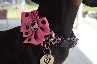 Pink Leopard Dog Collar size Extra Small