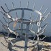 Vintage French Bottle Drying Rack "Herisson"
