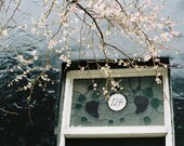 A feeling of Spring,  fine art film print 8 x 12