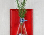 Wall Vase Set - Red Hanging Vase, Bud Vase - Gift Set of 2 - Wall Sconce Vase - Science Chic, Glass Flask