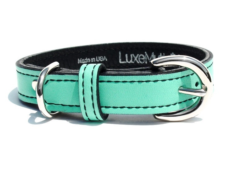 Seafoam Green Minimalist Leather Dog Collar