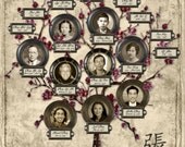 Cherry Blossom - Four Generation Custom Tree with Photos