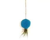 Hanging Container For Kolbii Air Plant - Bright Turquoise