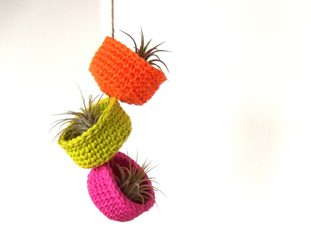 Spring Neons - Hanging Air Plant Trio in Colorful Cotton Bowl Planters