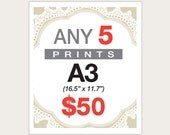 5 Posters for 50 Dollars -  A3 Size