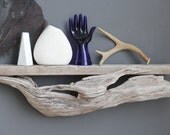 Large Sculptural Natural Driftwood Shelf