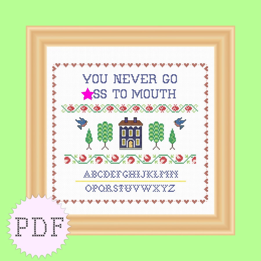 Funny Cross Stitch Pattern PDF Sampler mature  INSTANT DOWNLOAD