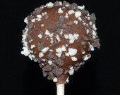 Vanilla and Chocolate Marble CAKE POPS, Party Favors, Wedding Favors, Bridal Shower Favors, Recuerdos Para Quinceaneras