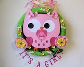 Owl Door Wreath Cute For Hospital Door, Baby Shower, Nursery