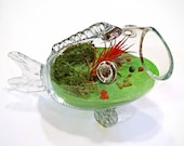 LUCKY FISH GREEN terrarium - feng shui terrarium, sand glass terrarium, home decor, positive chi gifts, mothers day gifts