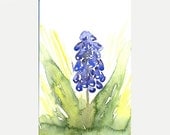 Original watercolor Flower art painting Abstract spring decor Violet blue Green Muscari April flower