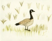 Bird watercolor original art - Canada Goose