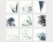 Nature Photo Print Set 8X8 Minimalist Bulk Wall Home decor for man gift for him - art for bedroom