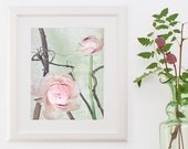 SALE 12x18 Mint Pink Shabby Chic ranunculus cottage chic mothers day anniversary gift for her pastels