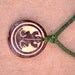 Men's Natural Necklace/ Lizard/ Tagua seed/ tribal/ Organic Jewelry/ South American/ Summer Necklace