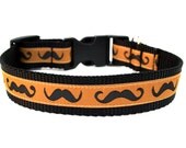 Mustache Dog Collar 1" Fun Dog Collar
