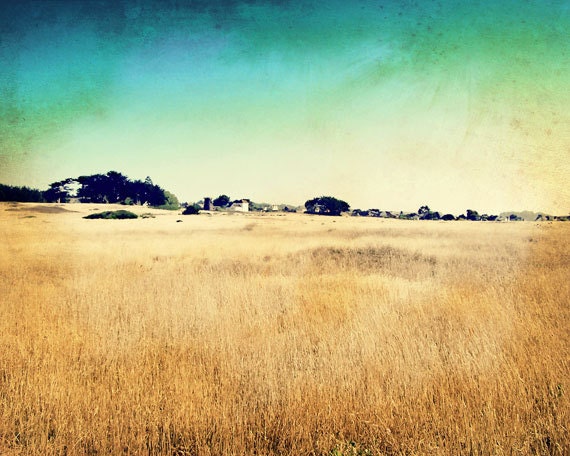 Mendocino Photo, Retro Photography, Fields, Nature, Vintage Look, Rustic, Gold Teal