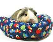 Beetles and Bugs Guinea Pig Cuddle Roll