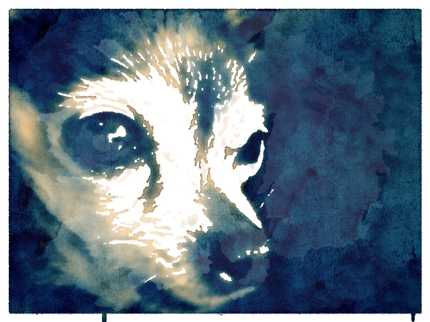 Custom Pet Portraits 8 x 10 canvas art, Giclee Canvas Art, pet portrait, cat, dog, animal pet,