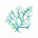 No.1 Sea Coral / watercolor print / teal / light green / aqua / sea / ocean life /