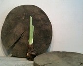 Antique Wooden Stepping Stones