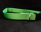 Neon Green Nylon Dog Collar (size Large)