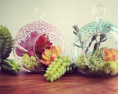 bright purple, hand painted hanging glass terrarium. Just add your air plant. Cute desk accessory.