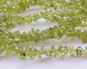 4X6mm Peridot Natural Semi-Precious Chip Beads, Full 35 IN Strand (C82)