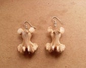 Vertebrae Earrings (Real Bone)
