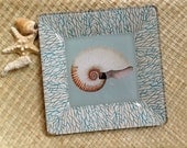 Sea Shells Home Decor / Beach Wedding Gift / Decoupage Plate Wall Art / summer home decor aqua coral white seashore