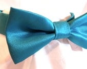 RockinDogs Custom Satin Dog Bow Tie or Cat Bow Tie-Match you Wedding colors.