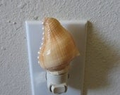 Beach Decor - Conch Shell Night Light with White Pearl Embellishments