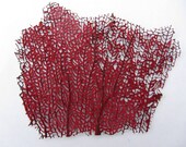 Sea Fan - Red  - Beach Decor