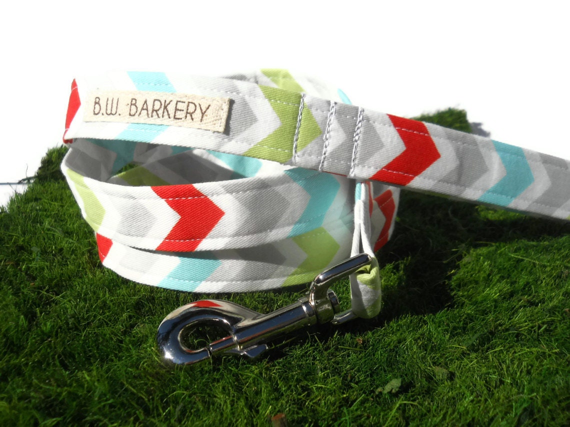 Dog leash...Aqua,red,grey,lime and white chevron print...Any size...