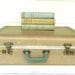 Vintage Suitcase Luggage Green Tan