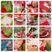 Christmas Card Writing Party Kit: A Party in a Box for 8 Delivered to Your Door