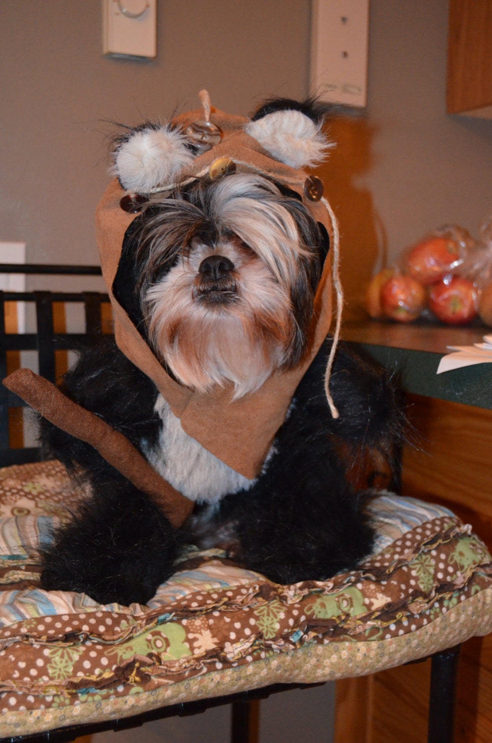 Hood/Fur Dog Halloween Costume Black Longer Fur Size Large