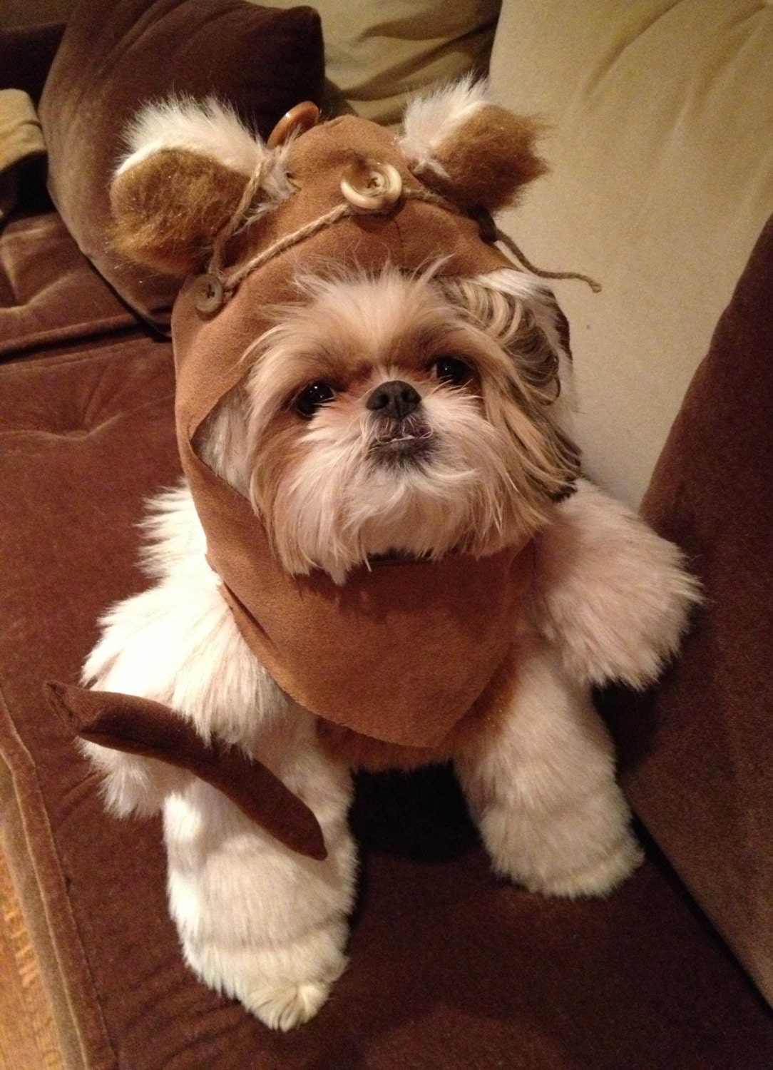 Pin On It S Sooo Fluffy